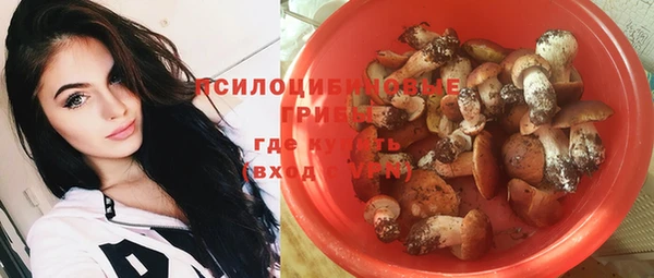 сатива Алексин