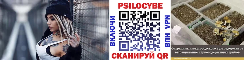 Псилоцибиновые грибы мухоморы  где купить наркоту  Михайловск 